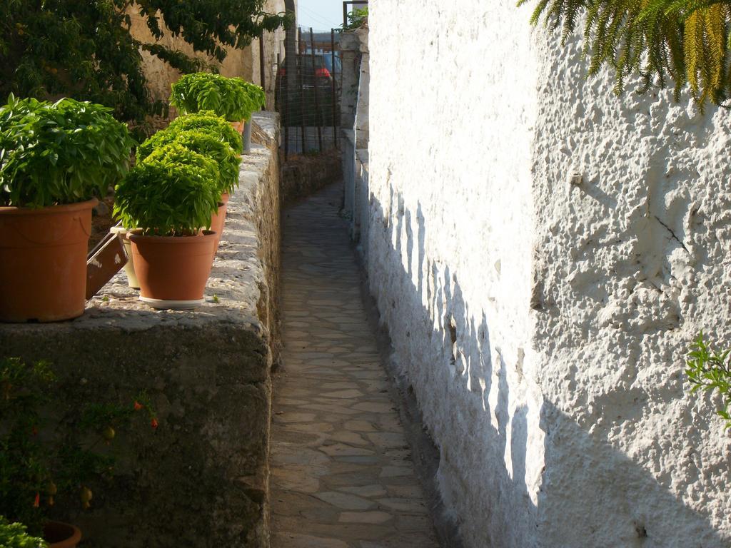 Jasmine'S Guest House Karlovassi Dış mekan fotoğraf